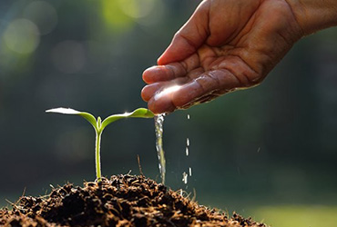 grow-faith grow-faith